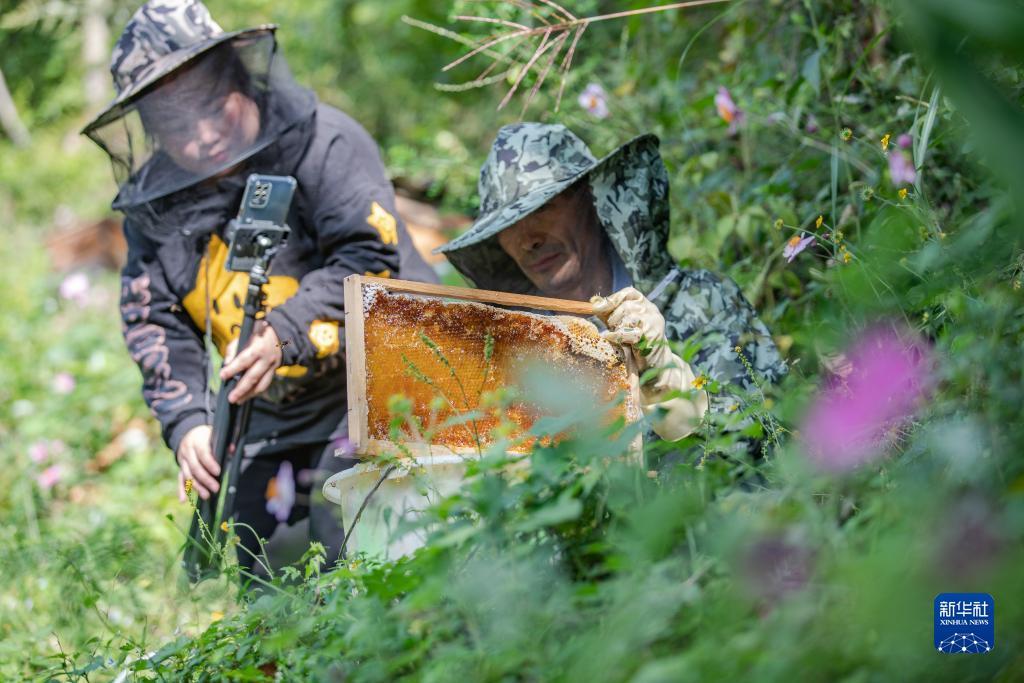 澳门银座充值中心微信支付